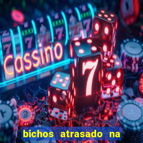 bichos atrasado na loteria dos sonhos